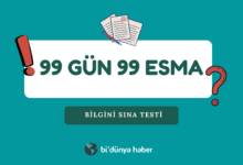 Bilgini Sına Testi