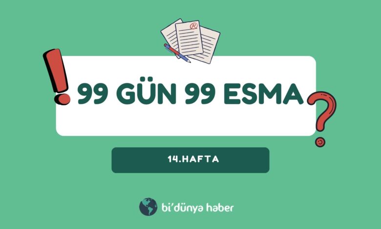 Esma Testi 14.Hafta