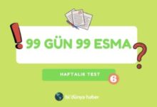 Esma Testi 6.hafta