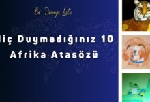 Hic Duymadiginiz 10 Afrika Atasozu