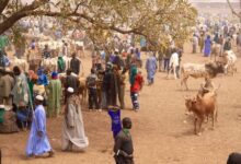 Burkina Faso Günlükleri- 7.Gün