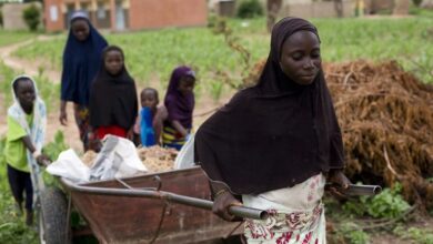 Burkina Faso Günlükleri – 9. Gün