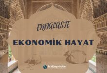Enduluste-Ekonomik-Hayat