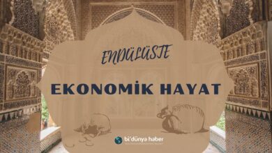 Enduluste-Ekonomik-Hayat
