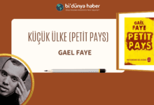 Gael Faye ve Küçük Ülke Filmi