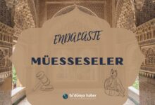 Endülüs'te Müesseseler
