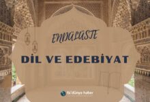 Endülüste dil ve edebiyat