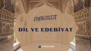 Endülüste dil ve edebiyat